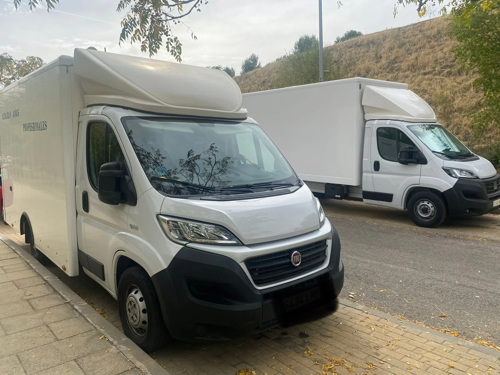 Empresa de mudanzas en Madrid realizando carga de muebles